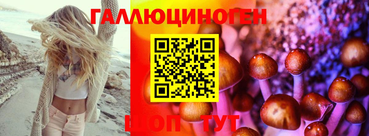 Галлюциногенные грибы Psilocybine cubensis Бутурлиновка